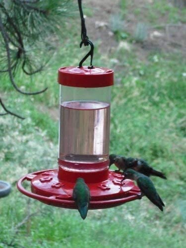 16 oz. Hummingbird Feeder (2 Pack), Red